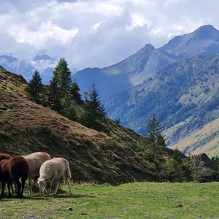 La Luziole 3 étoiles, En Ou Cure, été Ou Hiver, Comme Chez Vous Appartement *