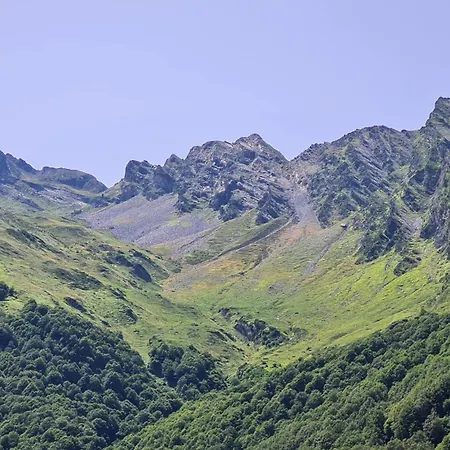 Appartement La Luziole 3 étoiles, En Ou Cure, été Ou Hiver, Comme Chez Vous *